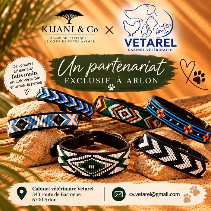 Colliers artisanaux en cuir et perles Kijani & Co, partenaire de Vetarel à Arlon